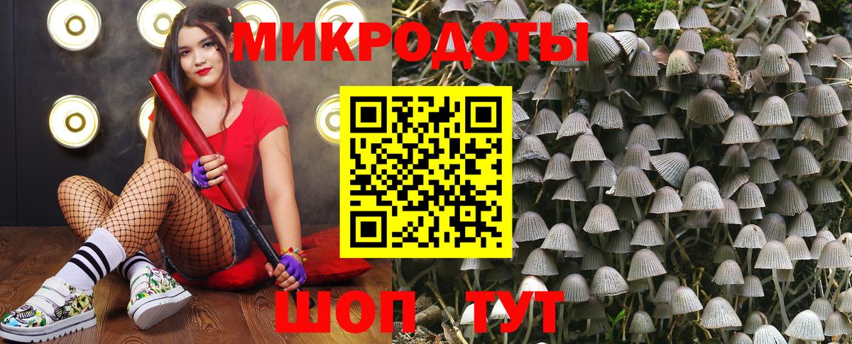 Фурманов  Галлюциногенные грибы GOLDEN TEACHER  Вход с VPN 