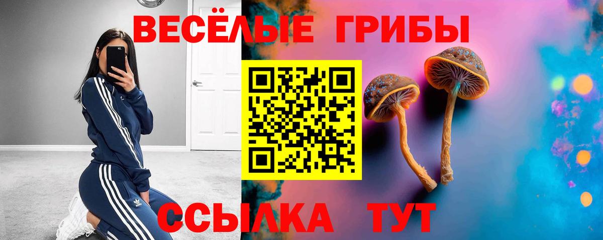 Галлюциногенные грибы Psilocybe Фурманов